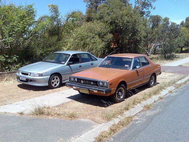 Skyline & Mates Commodore