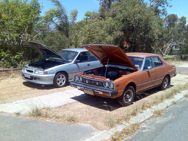 Skyline & Mates Commodore