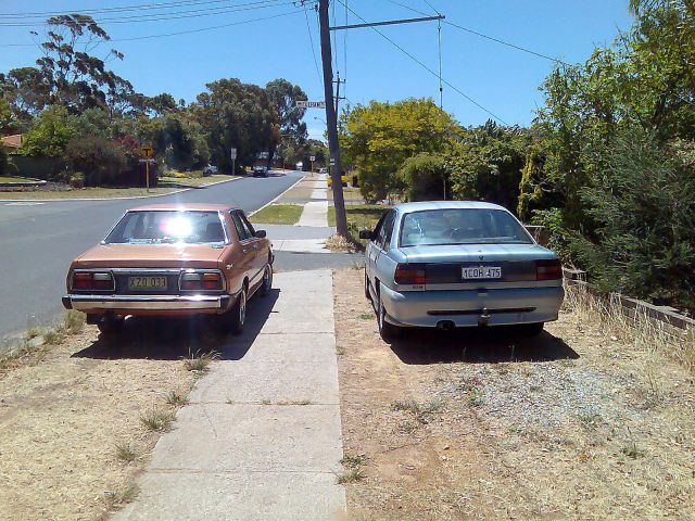 Skyline & Mates Commodore