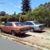 Skyline & Mates Commodore