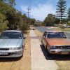 Skyline & Mates Commodore