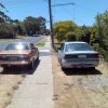 Skyline & Mates Commodore